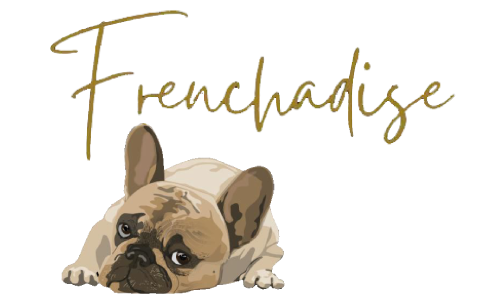 Pet Grooming - Pet Stylist Grooming
